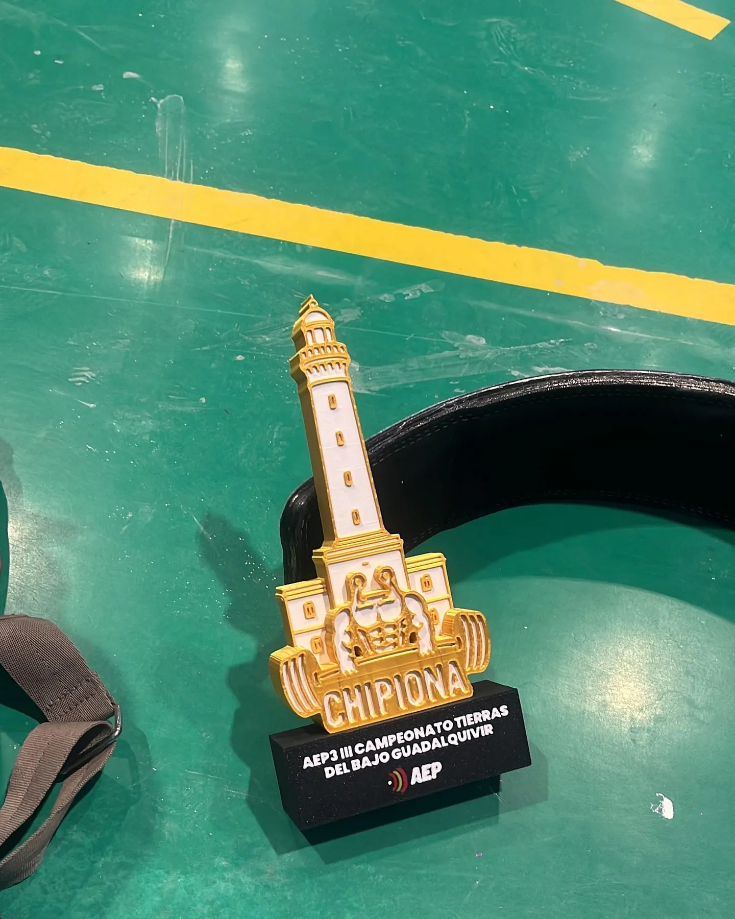 Trofeo copa dorada personalizada