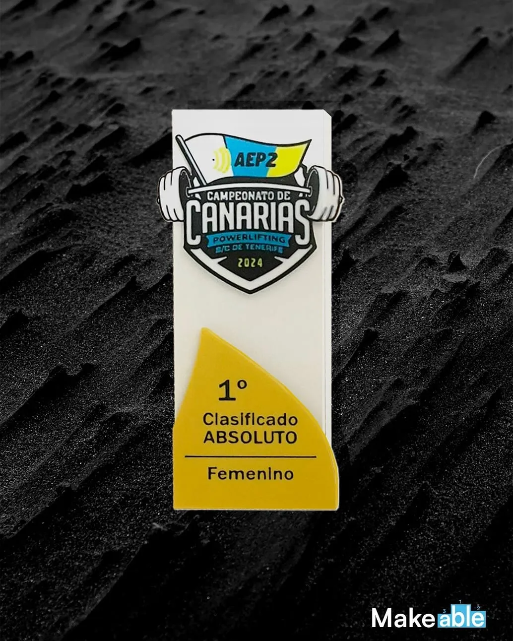Trofeo placa personalizada evento